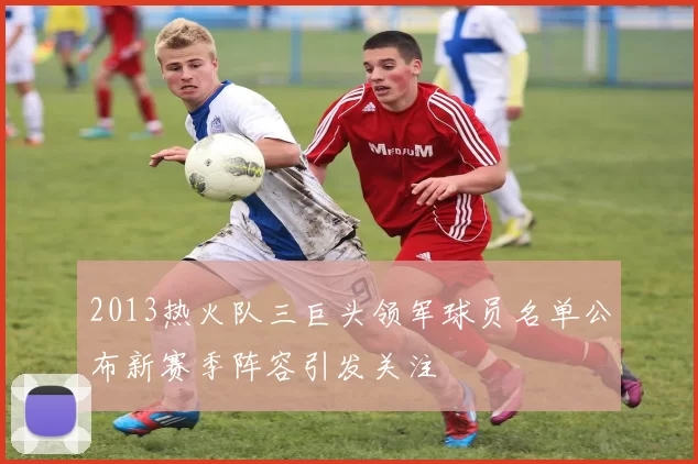 2013热火队三巨头领军球员名单公布新赛季阵容引发关注