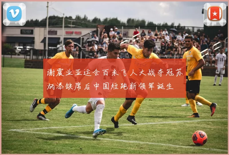 谢震业亚运会百米飞人大战夺冠苏炳添缺席后中国短跑新领军诞生